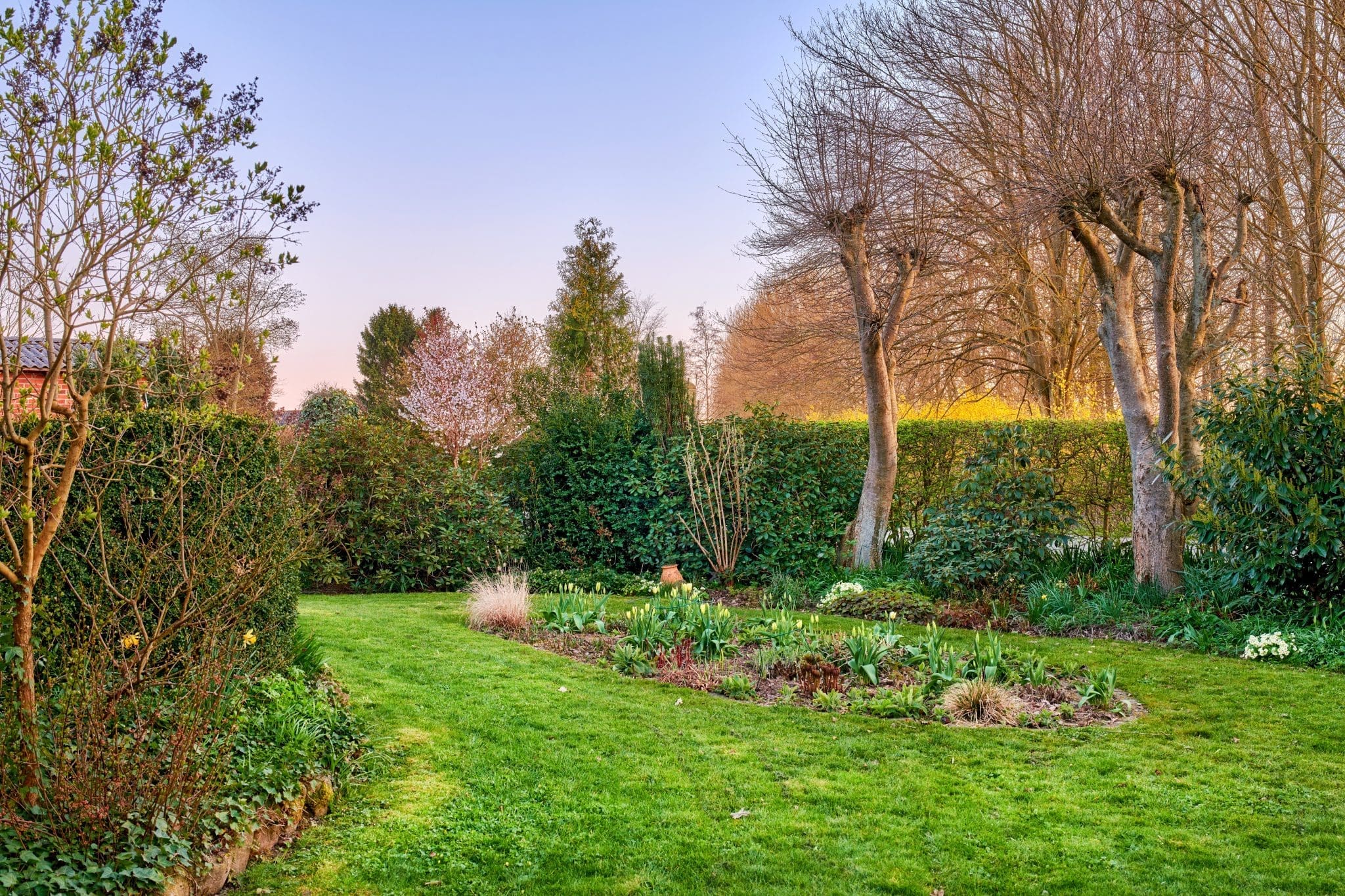 Summer Garden tips 2025